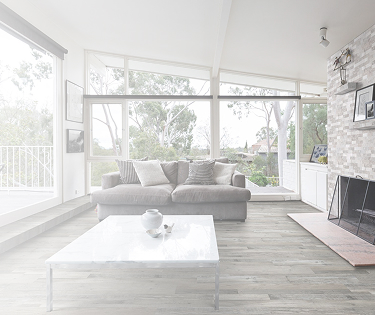 home_banner